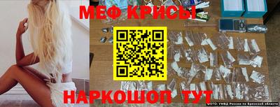 СК Камышлов